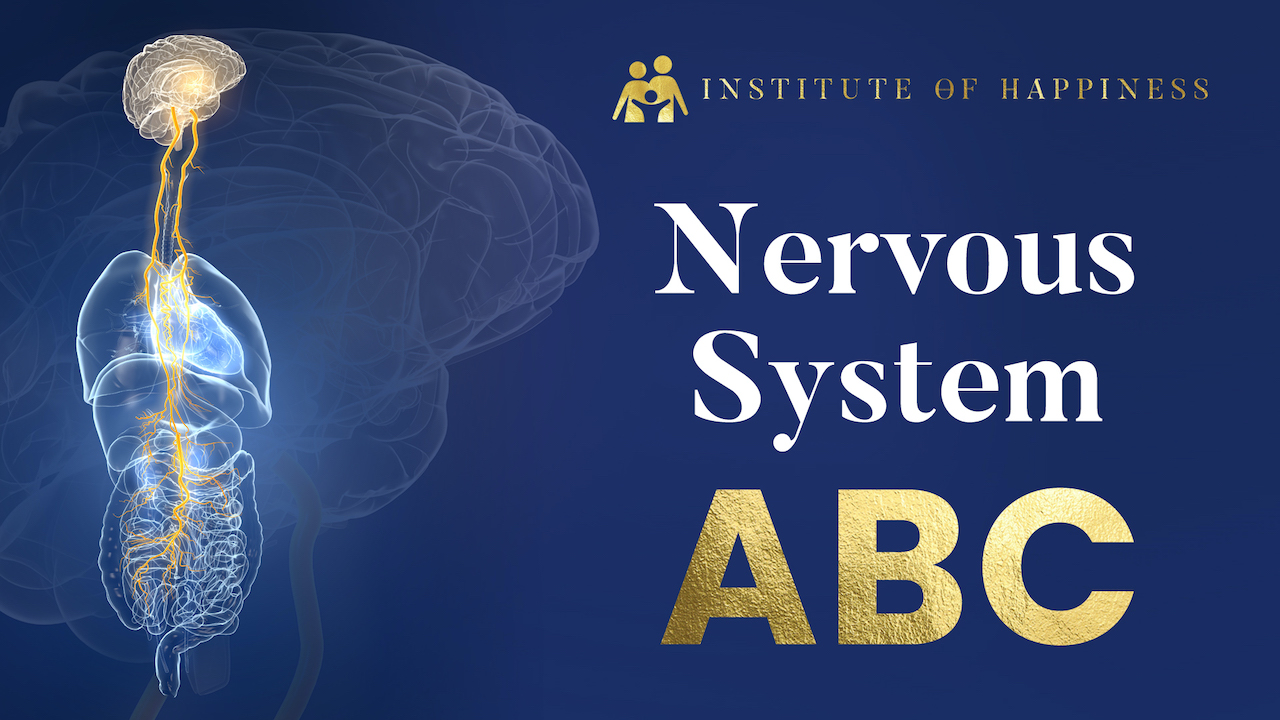 Nervous System ABC Institute of Happiness copy